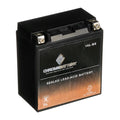 for 1987 12 CCA) Battery Chrome Sx YTX16L-BS Js650 Battery Ah, Jet Kawasaki Volt,14 230 (16L-BS Ski