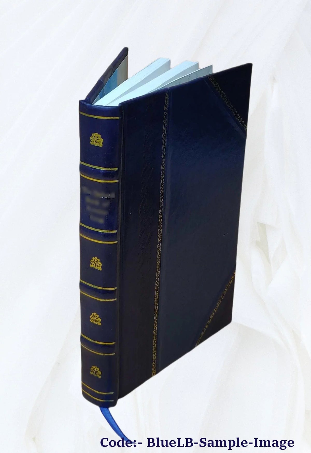its [Leather history, its makers and marks 1903 Old London its silver, Bound]