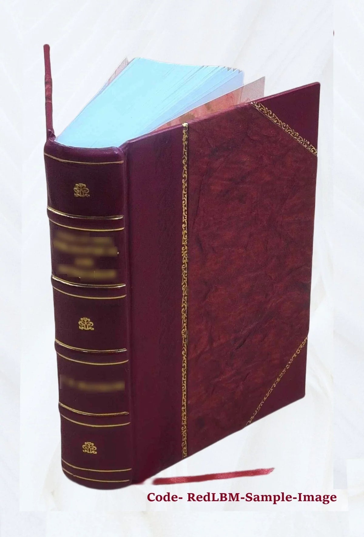 Bound] 1926 Vyavahaaramayuukha [Leather