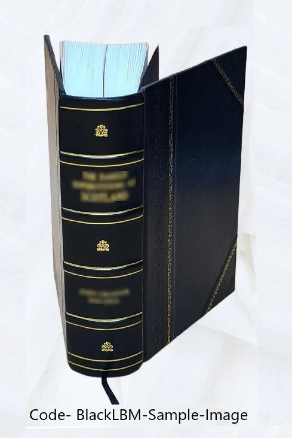Bound] 1926 Vyavahaaramayuukha [Leather